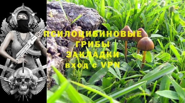 марки nbome Алзамай