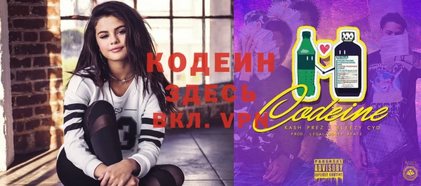 индика Осташков