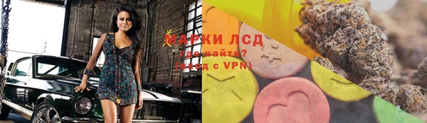 индика Осташков